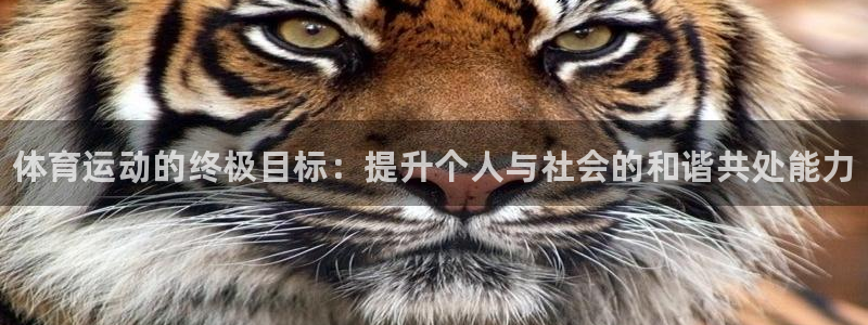 3377体育官网下载招商电话号码是多少号：体育运动的