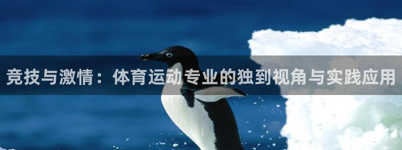 3377体育官网下载招商：竞技与激情：体育运动专业的
