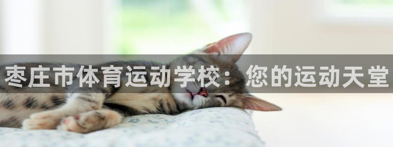 3377体育官网下载平台假的吗是真的吗：枣庄市体育运