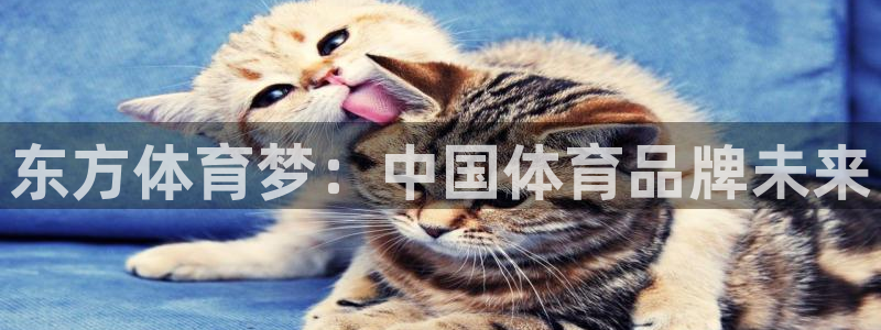 3377体育官网下载招商电话号码是多少