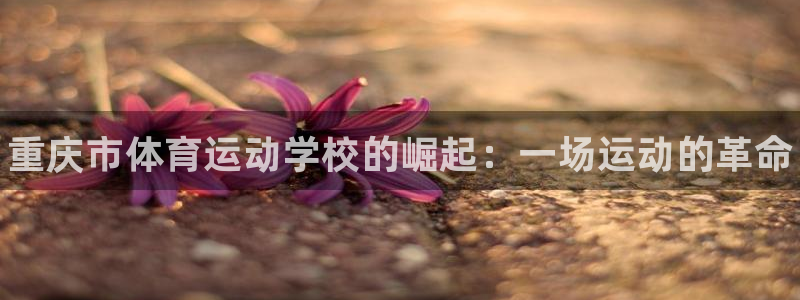 3377体育官网下载官方客服电话：重庆市体育运动学校