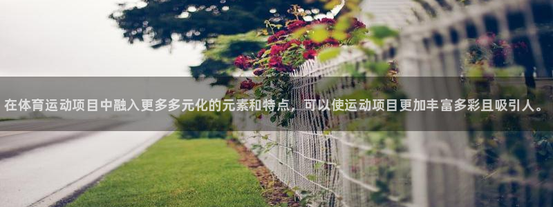 3377体育官网下载招商：在体育运动项目中融入更多多