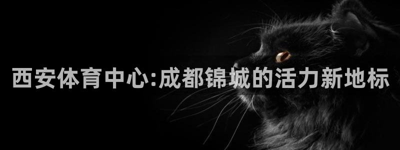 3377体育官方正版app集团官网首页：西安体育中心:成都锦