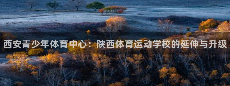 3377体育官网下载招商电话：西安青少年体育中心：陕