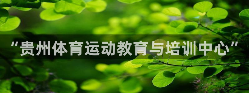 3377体育官网下载平台APP
