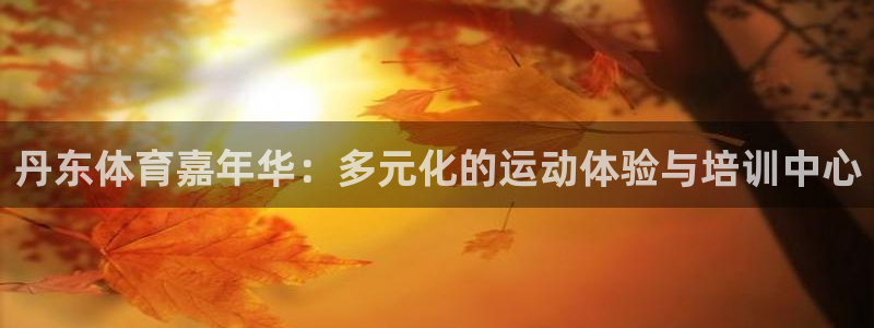 3377体育官方正版app官方