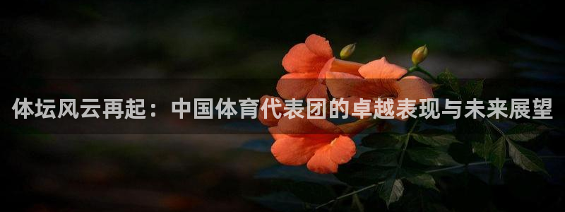 3377体育官网下载平台注册要钱吗是真的吗：体坛风云