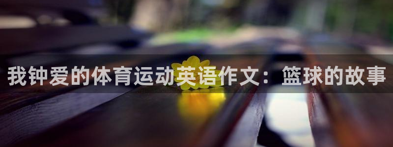 3377体育官方正版app娱乐网站：我钟爱的体育运动