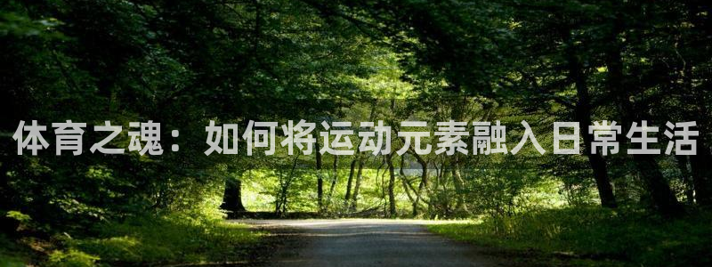 3377体育官方正版app集团官网网址