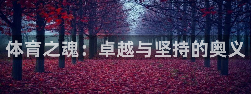 注册3377体育官方正版app：体育之魂：卓越与坚持的奥义