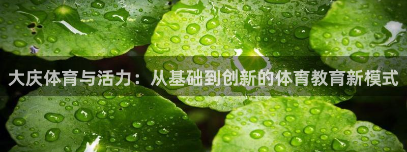 3377体育官网下载是干嘛的公司：大庆体育与活力：从基础到创
