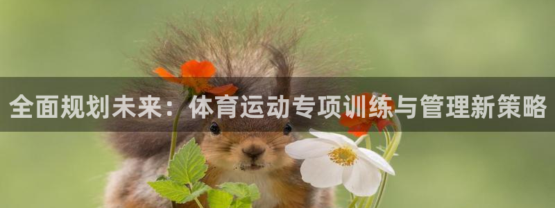 3377体育官方平台体育