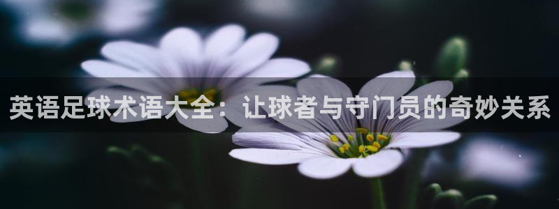 3377体育官网下载平台假的吗是真的吗吗：英语足球术语大全：