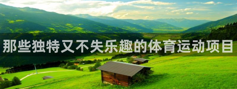 3377体育官网下载平台APP：那些独特又不失乐趣的