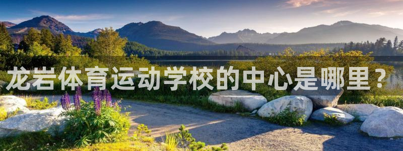3377体育官方正版app集团官网首页：龙岩体育运动学校的中