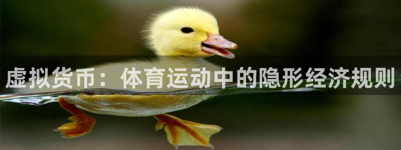 3377体育官网下载招商电话号码查询是多少