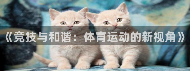 3377体育官网下载招商电话号码是多少：《竞技与和谐：体育运