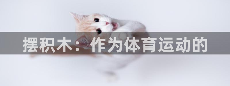 3377体育官方正版app神州：摆积木：作为体育运动