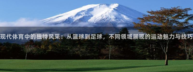 3377体育官网下载开户：现代体育中的独特风采：从篮球到足球