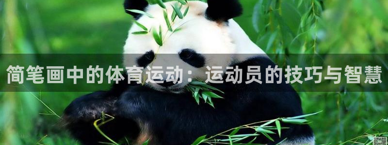 3377体育官网下载平台注册流程图：简笔画中的体育运