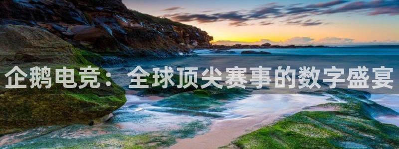 火凤免费观看体育直播：企鹅电竞：全球顶尖赛事的数字盛宴