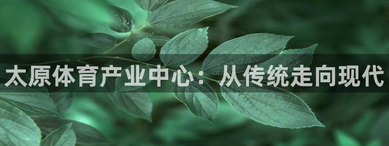 3377体育是割韭菜平台吗知乎：太原体育产业中心：从传统走向