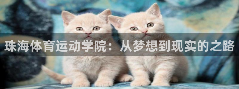 3377体育合法吗：珠海体育运动学院：从梦想到现实的之路