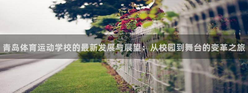 3377体育app属不属于病毒应用：青岛体育运动学校的最新发