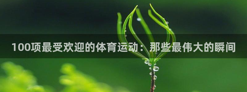  3377体育官网：100项最受欢迎的体育运动：那些最伟大的瞬