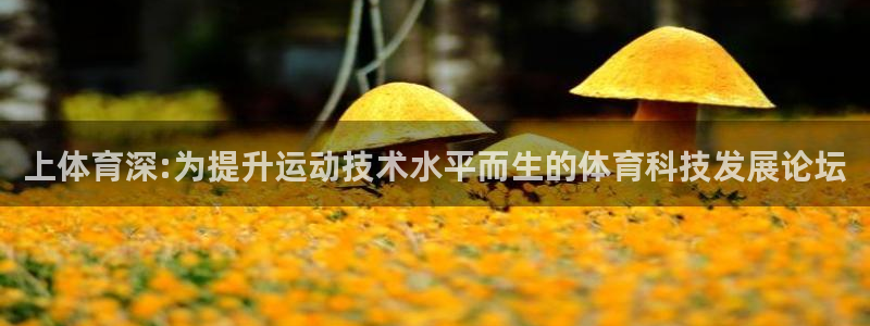 3377体育退款最新政策：上体育深: