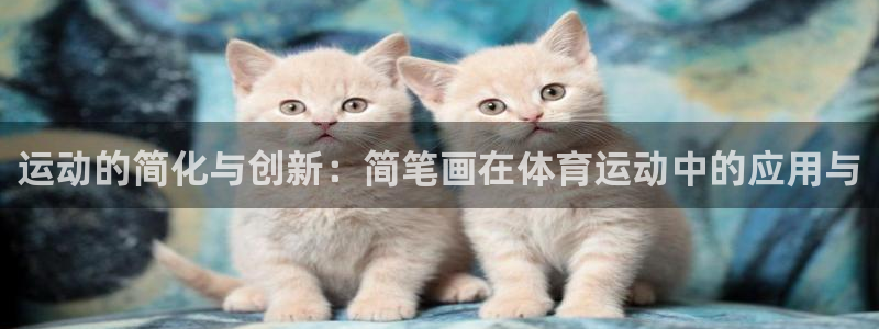  3377体育是正规平台吗还是黑金：运动的简化与创新：简笔画在