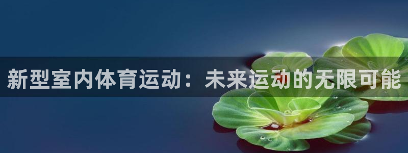  3377体育现在叫什么：新型室内体育运动：未来运动的无限可能