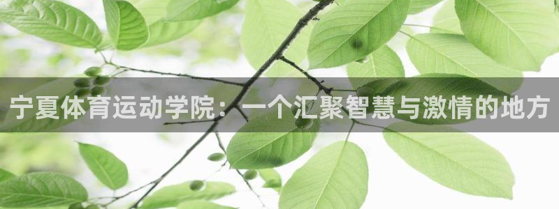  3377体育是割韭菜平台吗知乎：宁夏体育运动学院：一个汇聚智