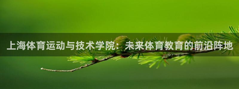 3377体育是哪的：上海体育运动与技