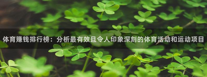 3377体育官网下载：体育赚钱排行榜：分析最有效且令人印象深