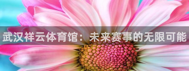 3377体育骗了多少人：武汉祥云体育
