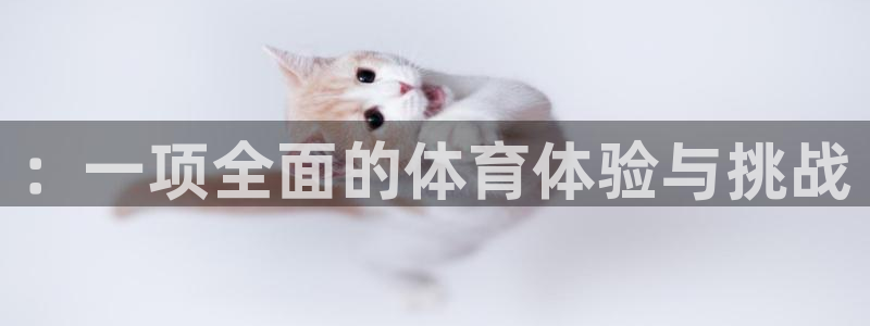 3377体育黑款吗：：一项全面的体育