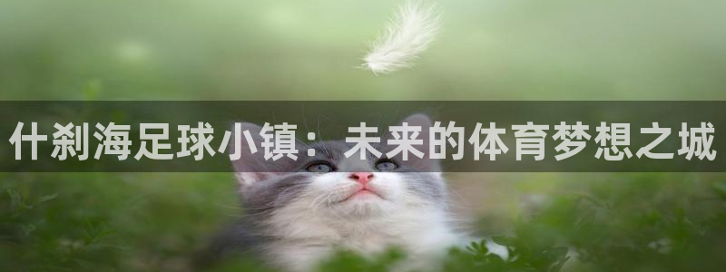 3377体育app官网下载地址：什刹