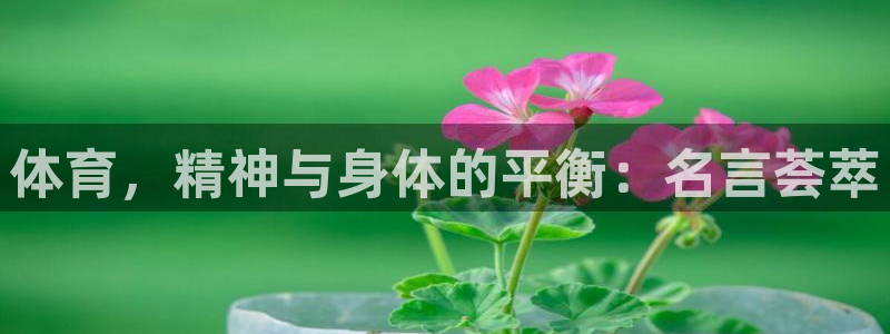 3377体育是什么：体育，精神与身体