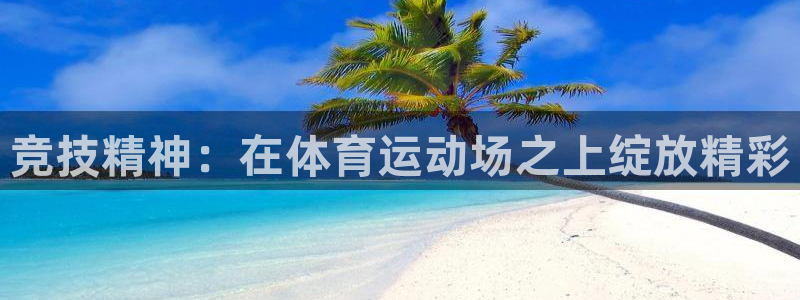 3377体育