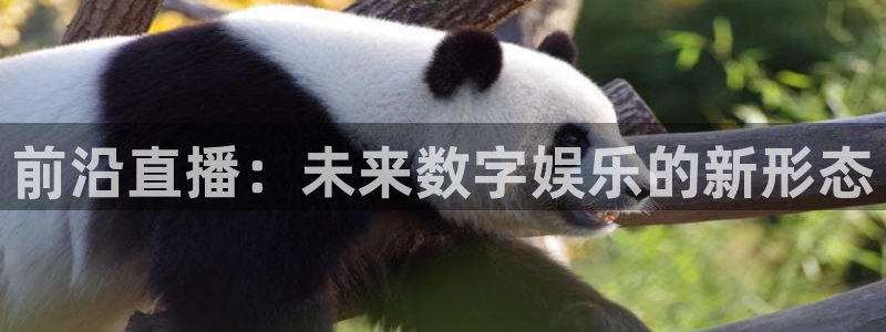 火凤体育直播在线观看高清：前沿直播：未来数字娱乐的新形态