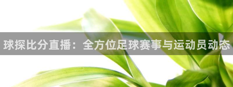 火凤体育nba直播：球探比分直播：全方位足球赛事与运动员动态