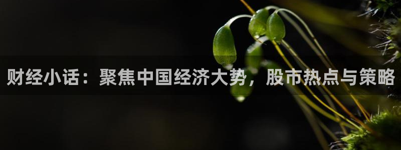 火凤足球直播在线观看：财经小话：聚焦中国经济大势，股市热点与策略